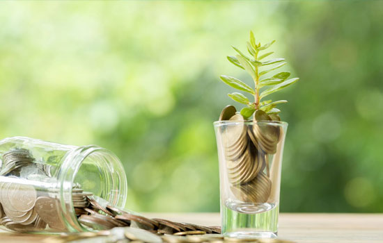 Agricultural Investment